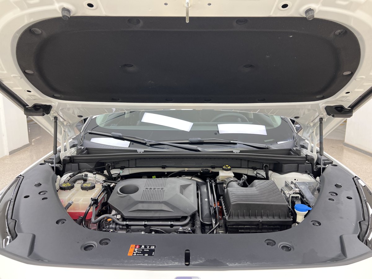 Roewe D5X DMH 2024 car image #29