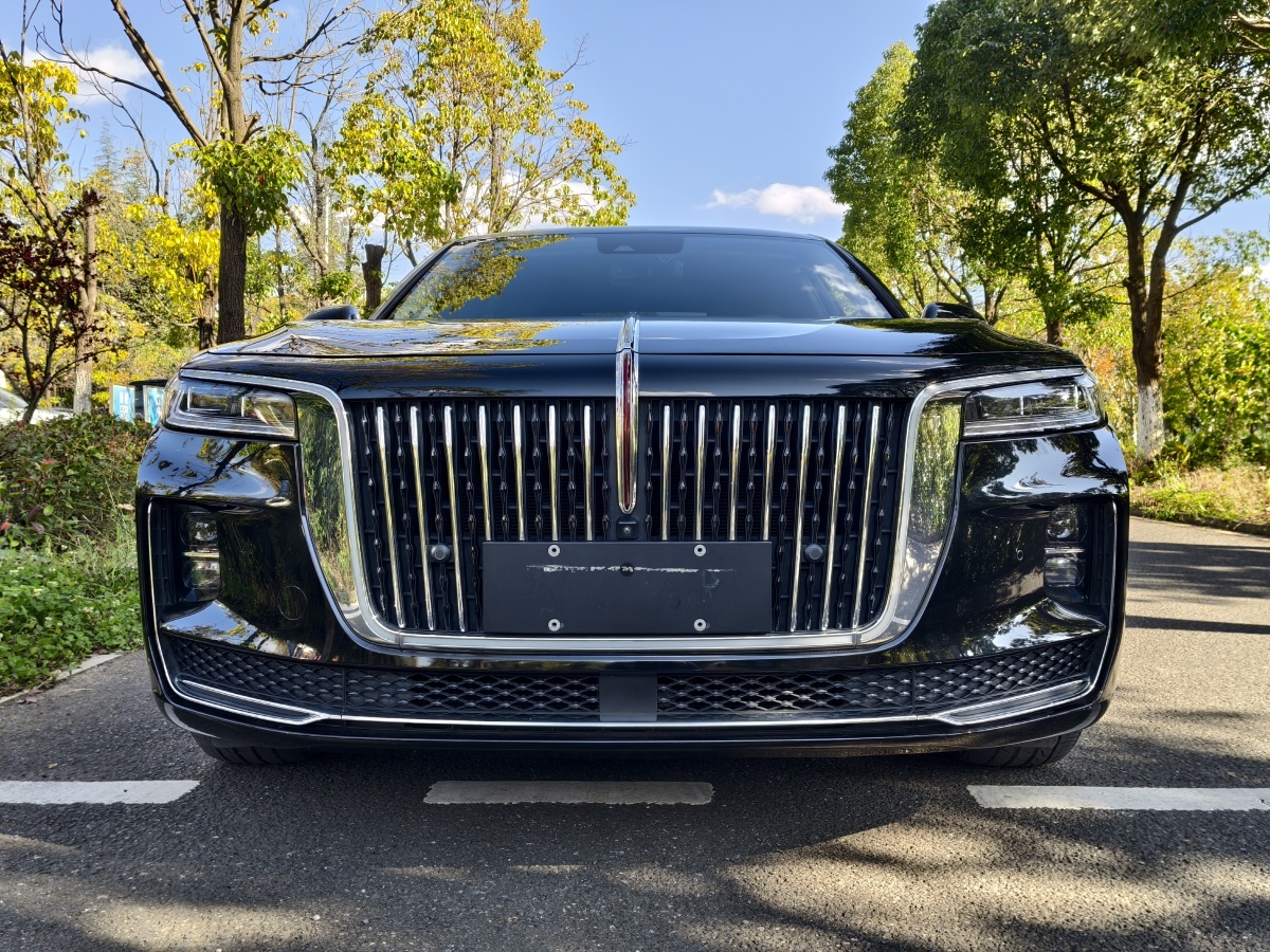 HongQi H9 2022 #29 HongQi H9 2022 immagine di auto #29