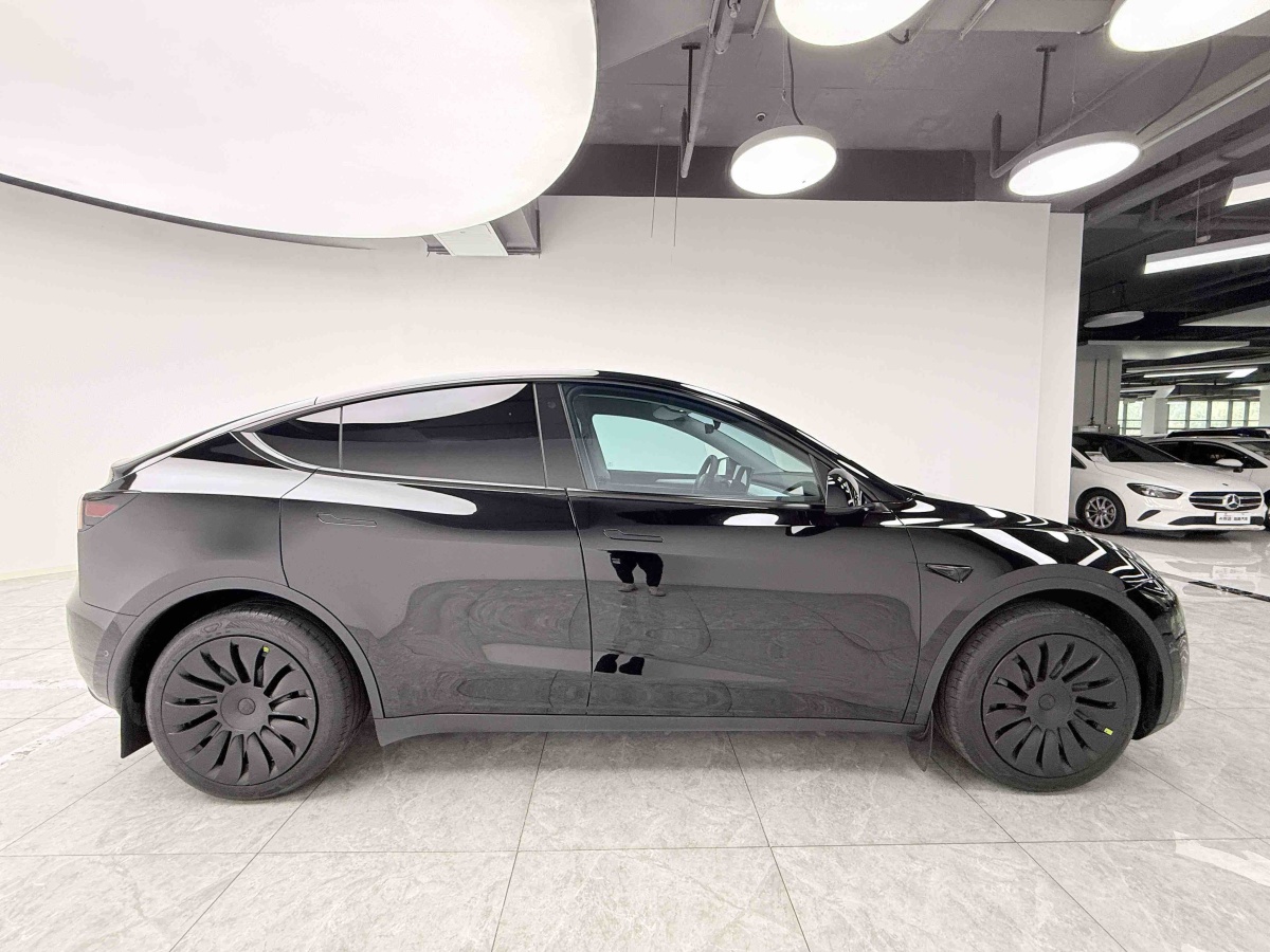 Tesla Model Y 2023 #29 Tesla Model Y 2023 car image #29