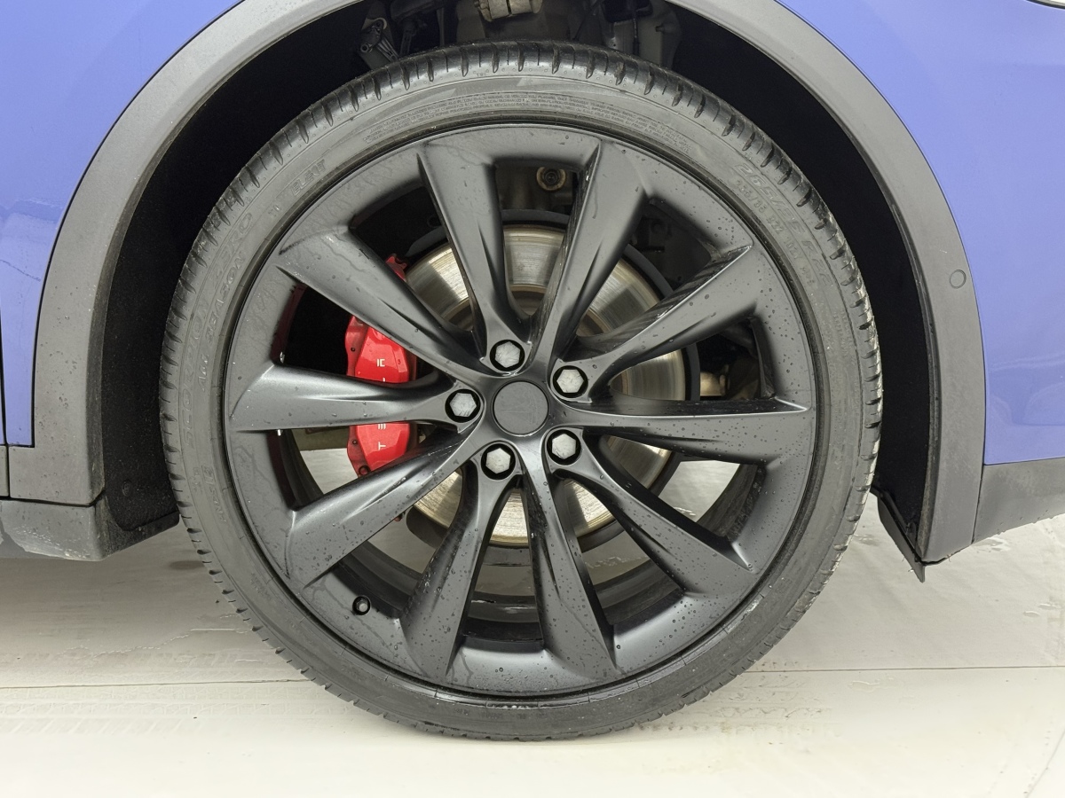 特斯拉 Model X 2019 汽车图片 #29