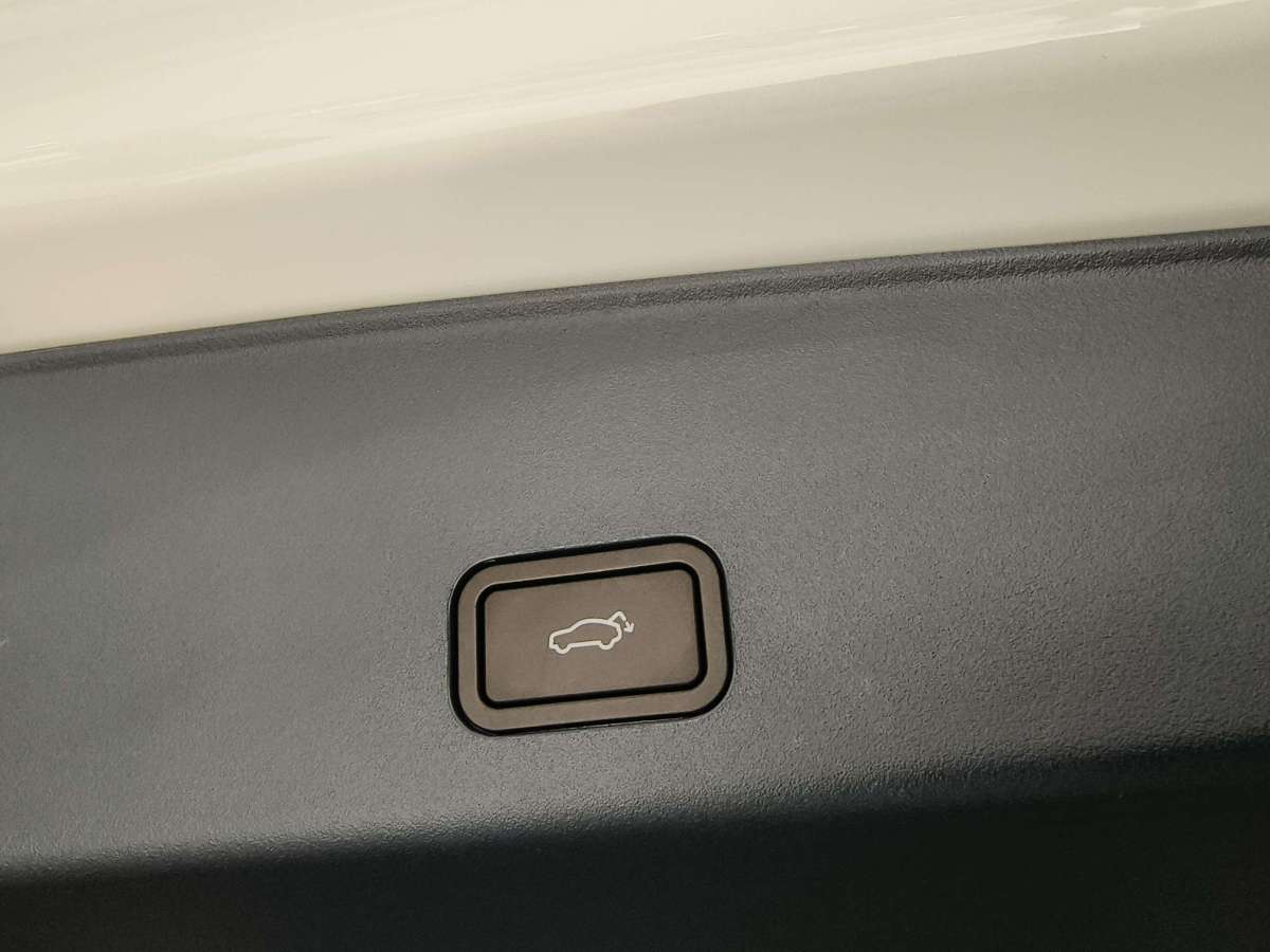 极氪 极氪009 2024 汽车图片 #29