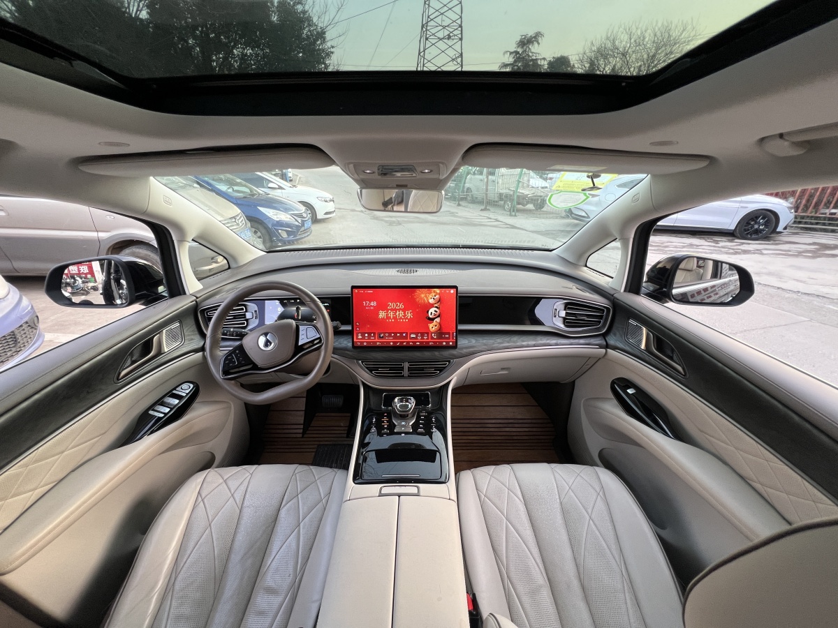 Denza D9 2023 image de voiture #29