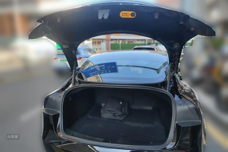 Tesla Model 3 2023 imagem de carro #21