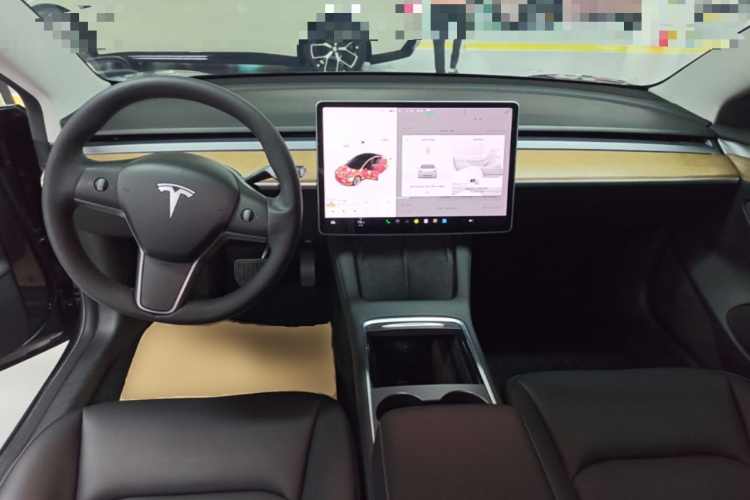 Tesla Model 3 2021 car image #13