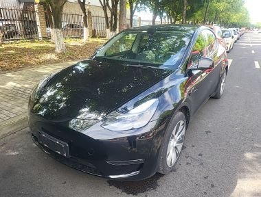 Tesla Model Y 2021 immagine di auto 