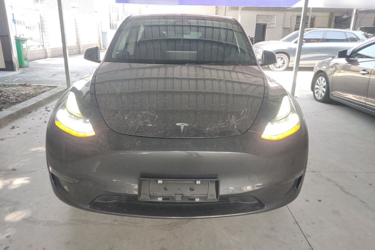 Tesla Model Y 2021 #3 Tesla Model Y 2021 car image #3