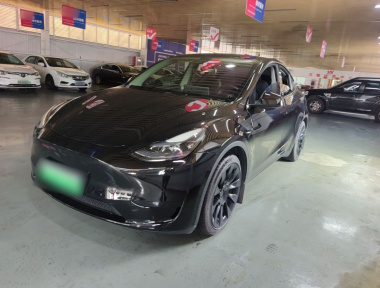 Tesla Model Y 2022 immagine di auto 