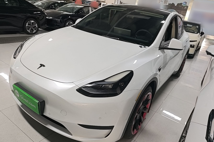 Tesla Model Y 2022 #2 Tesla Model Y 2022 car image #2