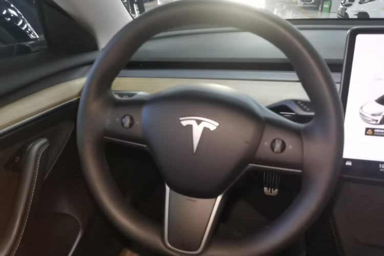 Tesla Model 3 2021 #11 Tesla Model 3 2021 car image #11