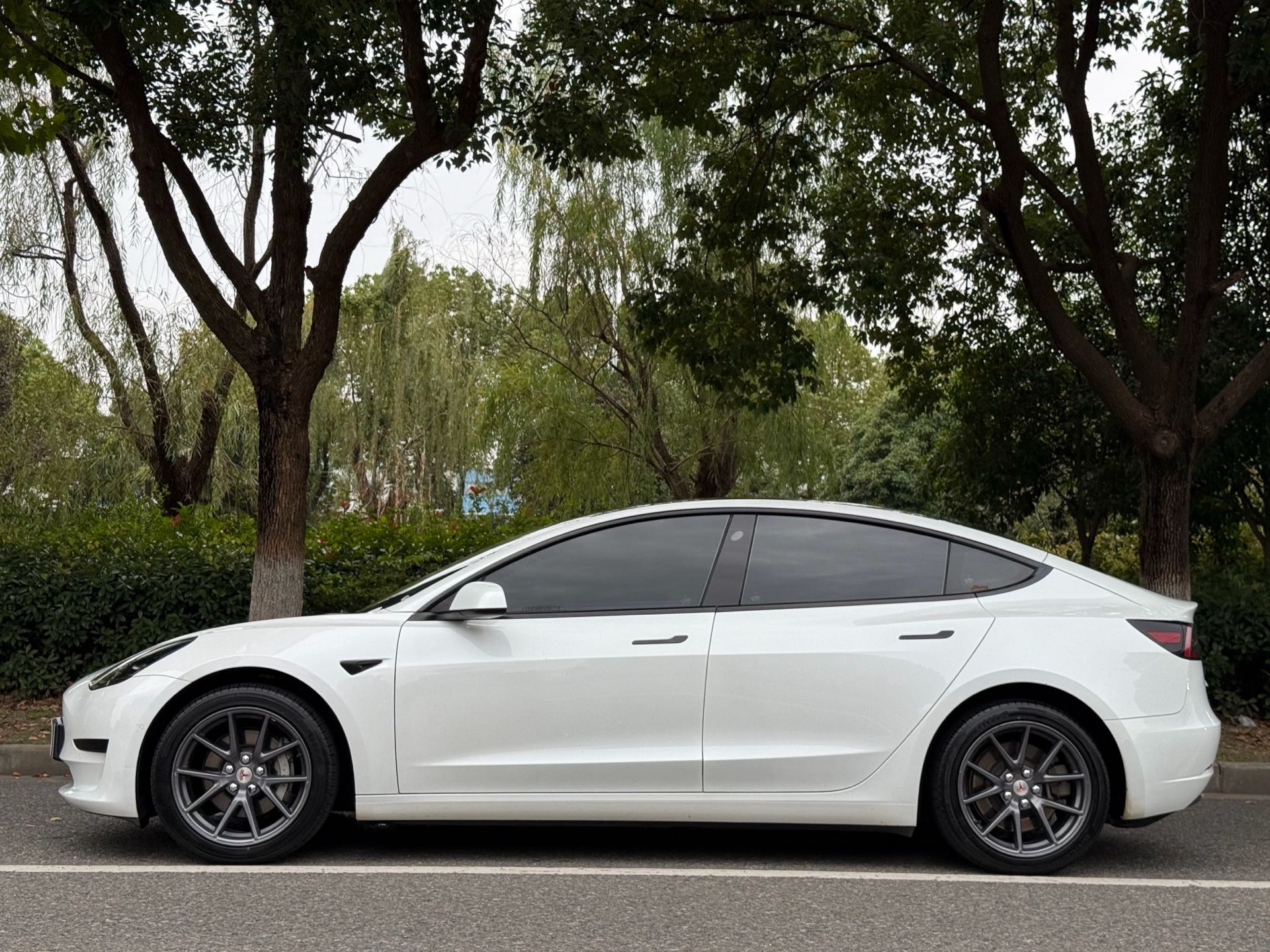 Tesla Model 3 2023 #2 Tesla Model 3 2023 car image #2