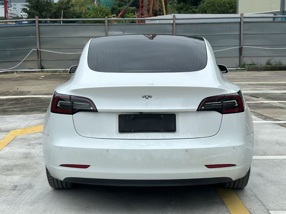 Tesla Model 3 (Imported) 2020 #8 Tesla Model 3 (Imported) 2020 car image #8