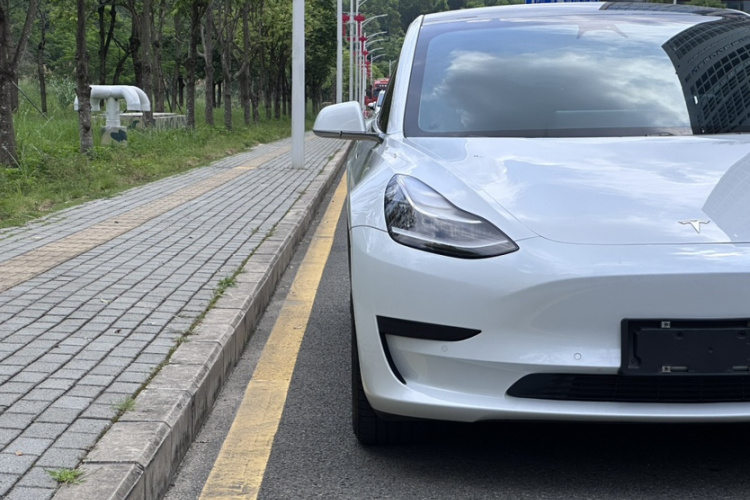 Tesla Model 3 2020 car image #7