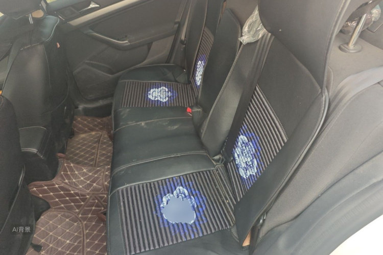 Volkswagen Lavida 2021 car image #19