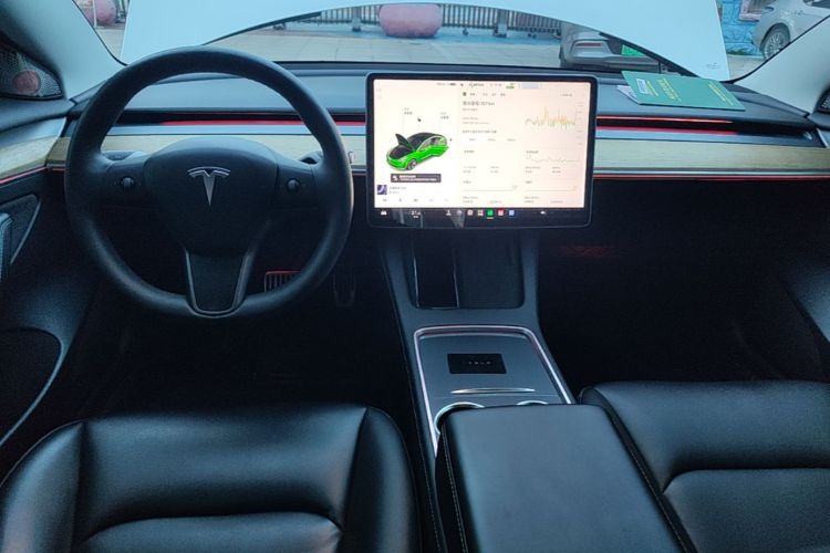 Tesla Model 3 2021 car image #10