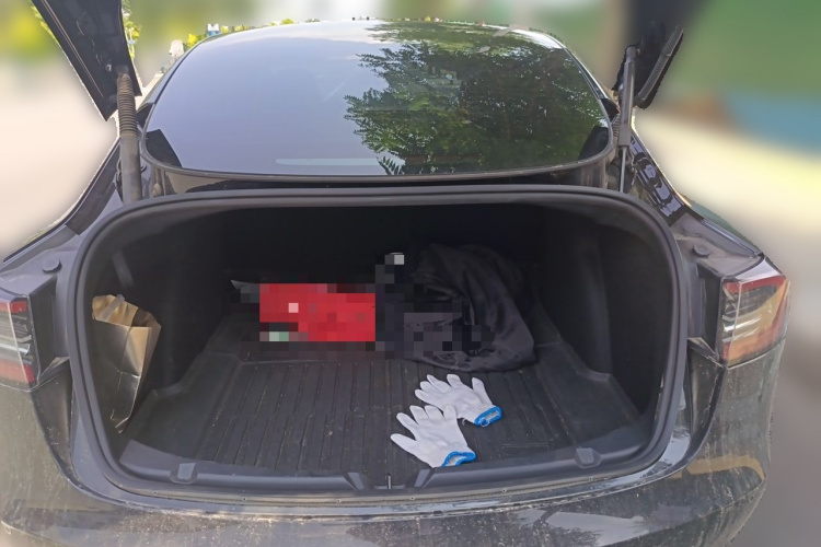 Tesla Model 3 2023 #21 Tesla Model 3 2023 car image #21