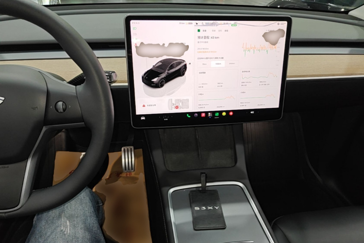 Tesla Model Y 2023 #10 Tesla Model Y 2023 car image #10