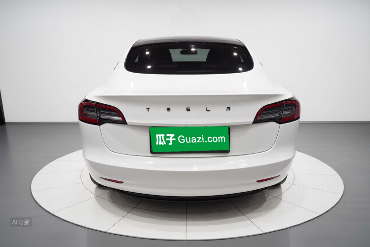 Tesla Model 3 2022 #6 Tesla Model 3 2022 car image #6