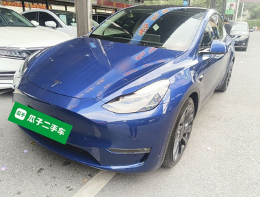 Tesla Model Y 2022 Tesla Model Y 2022 car image