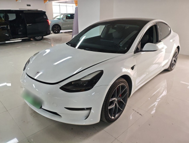 Tesla Model 3 2022 Tesla Model 3 2022 car image