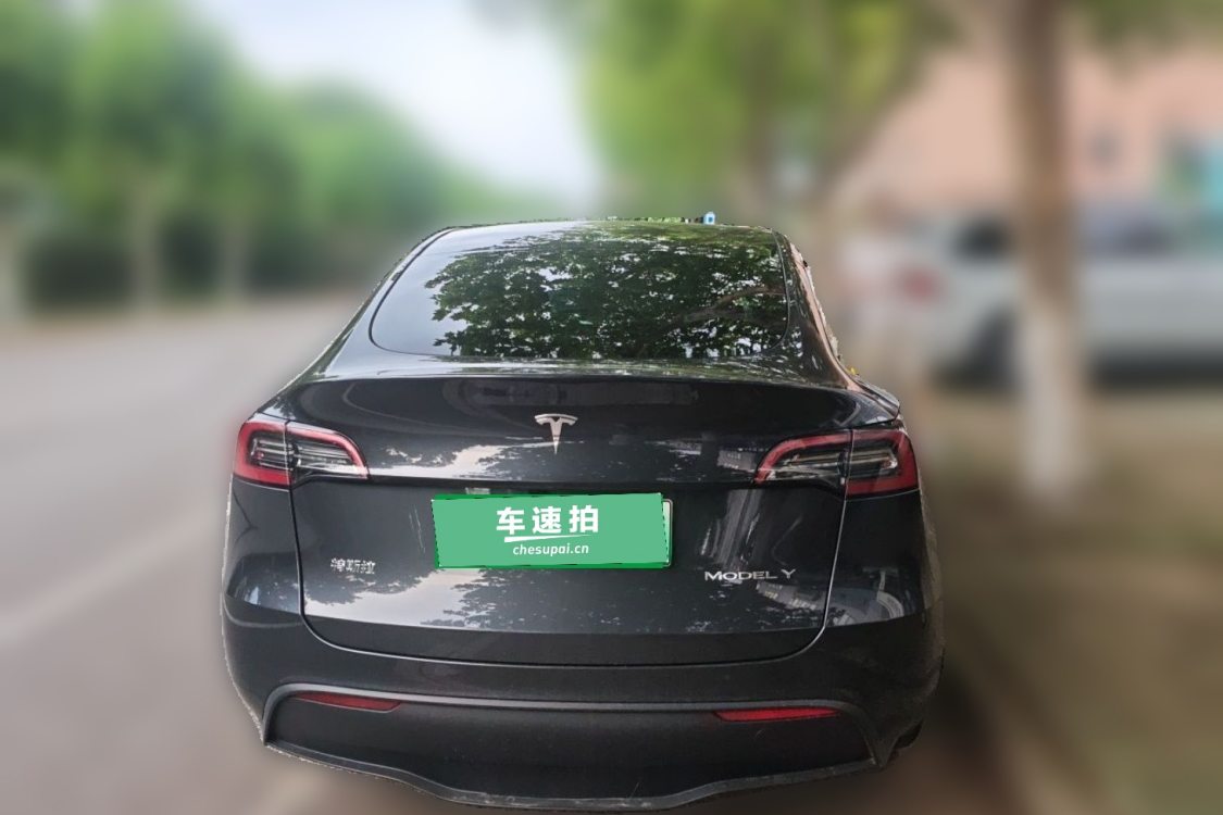 Tesla Model Y 2024 #6 Tesla Model Y 2024 car image #6