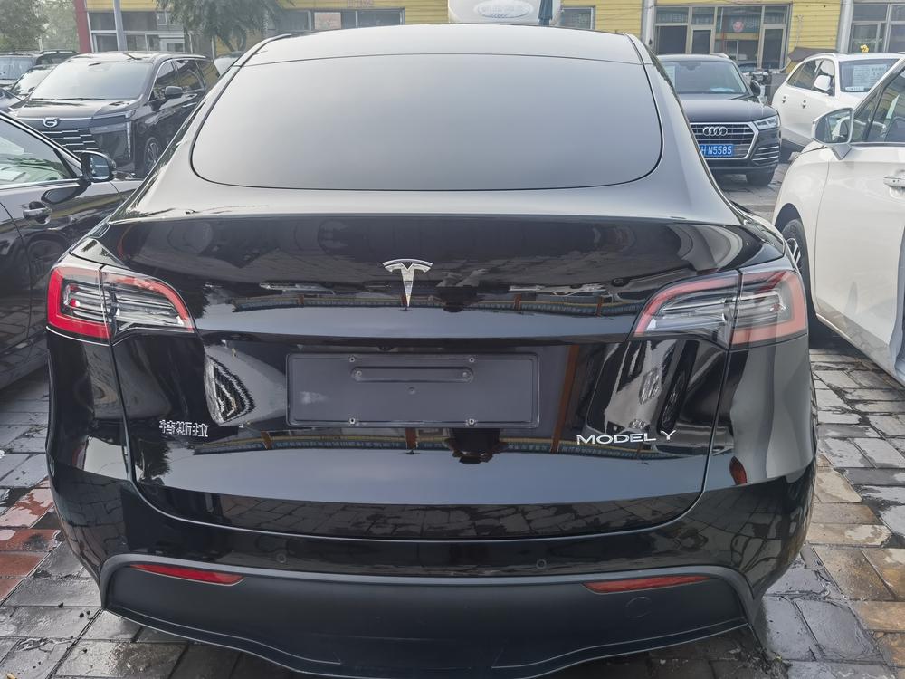 Tesla Model Y 2023 #5 Tesla Model Y 2023 car image #5