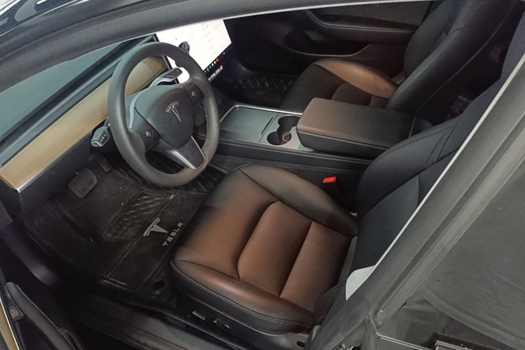 Tesla Model 3 2023 car image #15