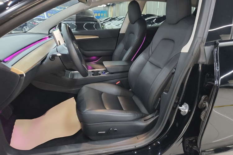 Tesla Model 3 2021 car image #15