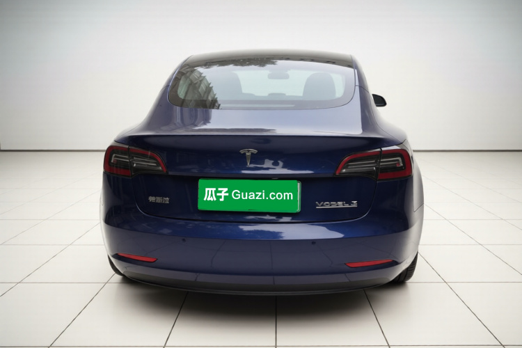 Tesla Model 3 2021 #6 Tesla Model 3 2021 car image #6