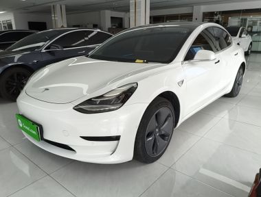 Tesla Model 3 2020 Tesla Model 3 2020 car image