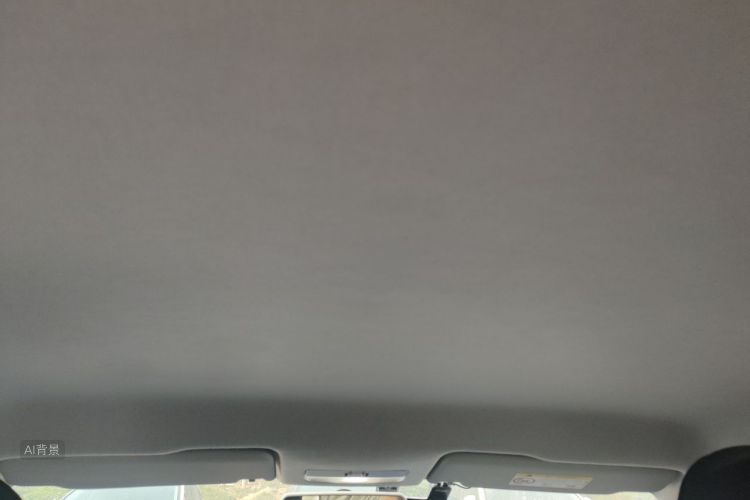 Volkswagen Santana 2019 car image #20