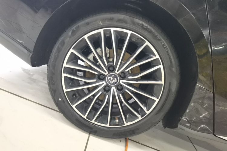 BYD Han 2021 car image #10