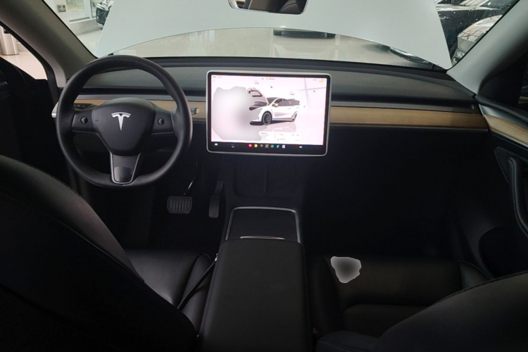 Tesla Model Y 2022 car image #10