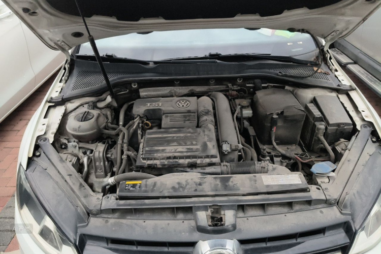 Volkswagen Golf 2016 car image #22