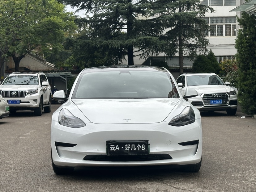 Tesla Model 3 2022 #2 Tesla Model 3 2022 car image #2