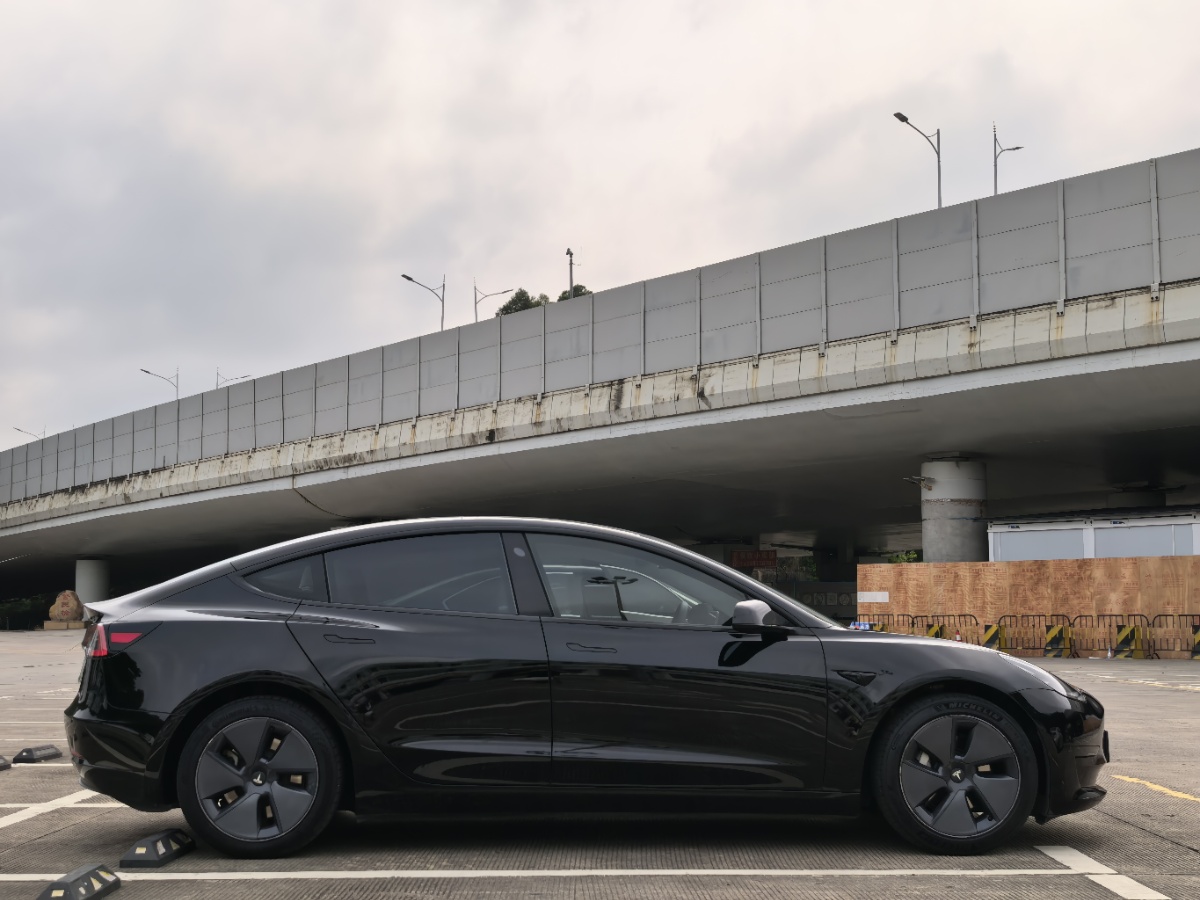 Tesla Model 3 2021 car image #4