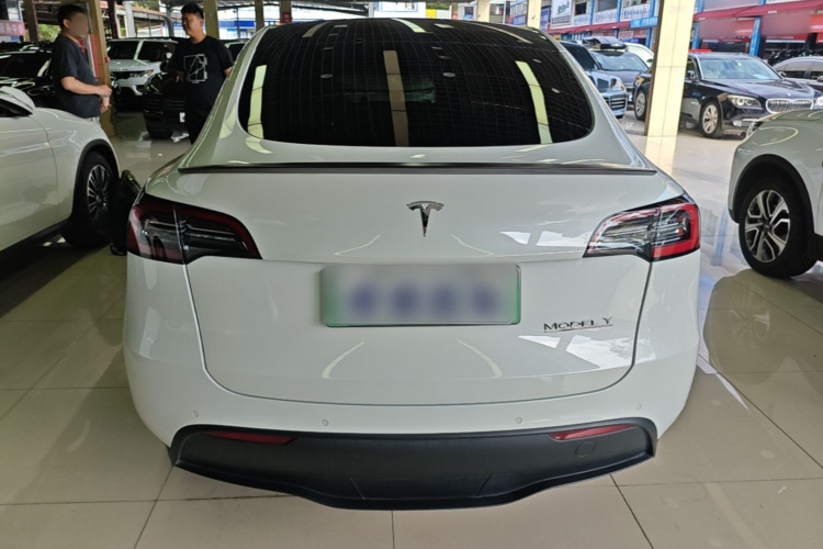 Tesla Model Y 2021 car image #4