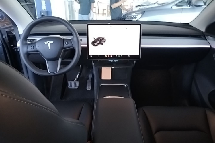Tesla Model Y 2024 immagine di auto #10