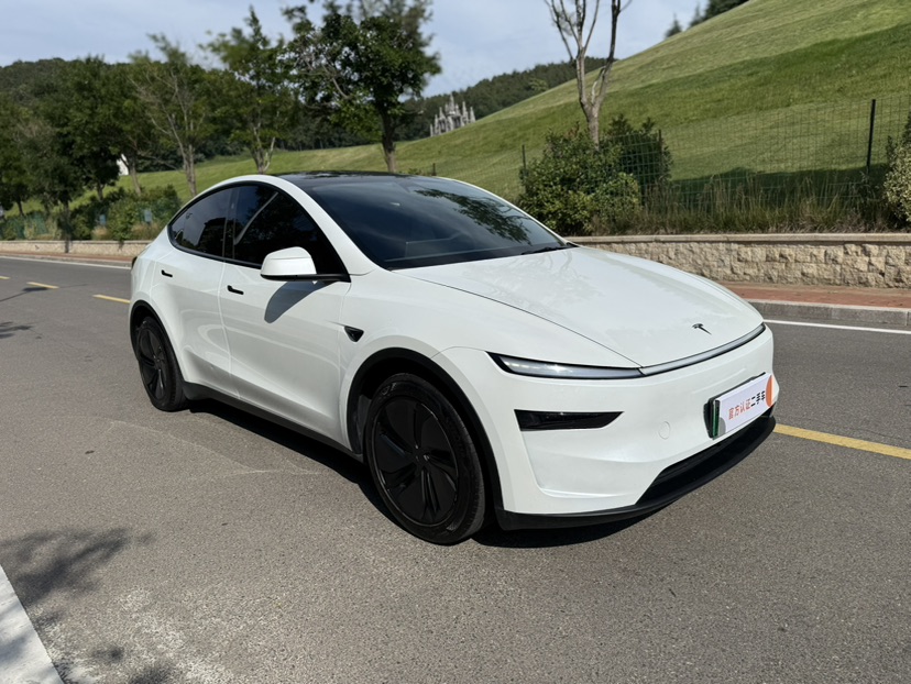 Tesla Model Y 2025 immagine di auto #3