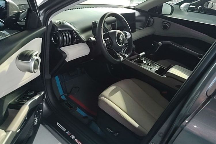 BYD Yuan Plus 2023 car image #16