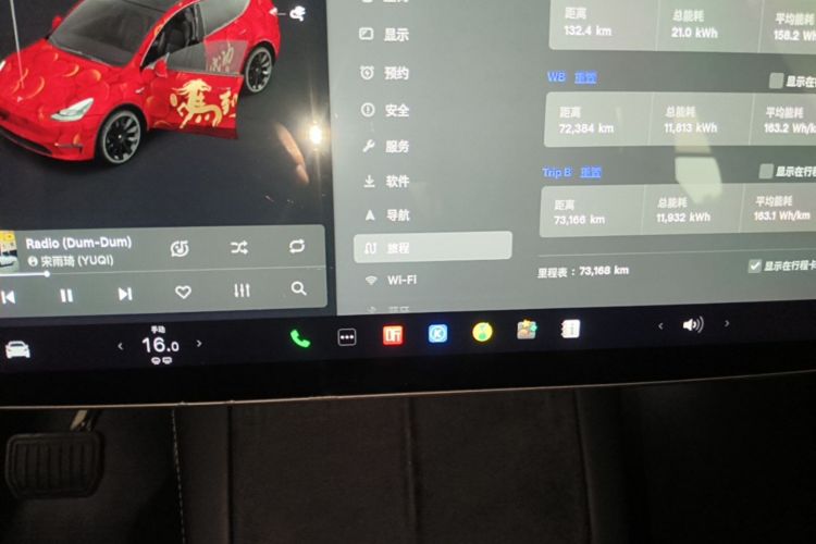 Tesla Model Y 2021 car image #12