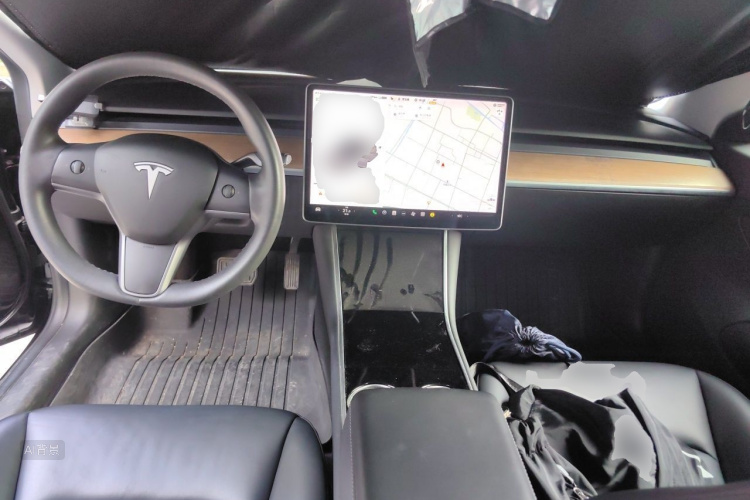 Tesla Model 3 2020 car image #11