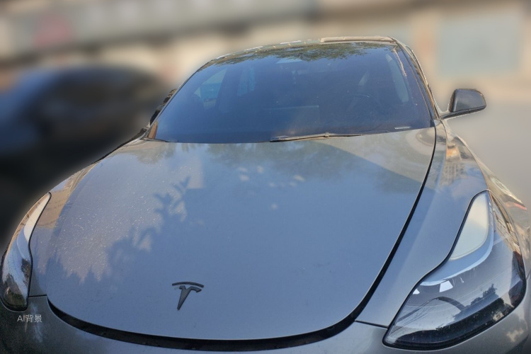 Tesla Model 3 2022 car image #3