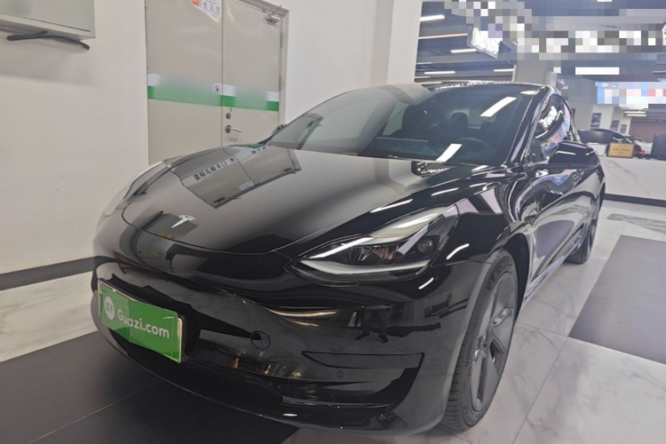 Tesla Model 3 2021 car image #2