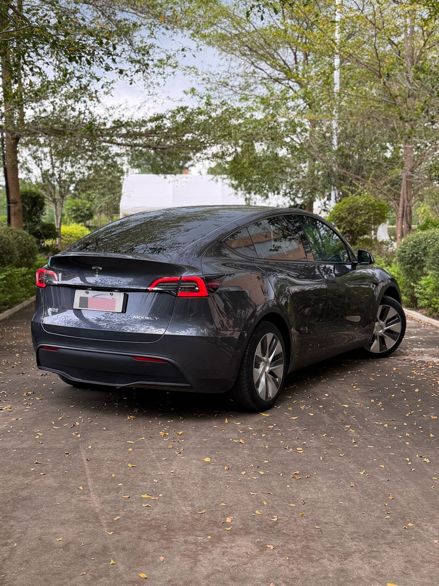 Tesla Model Y 2022 car image #8