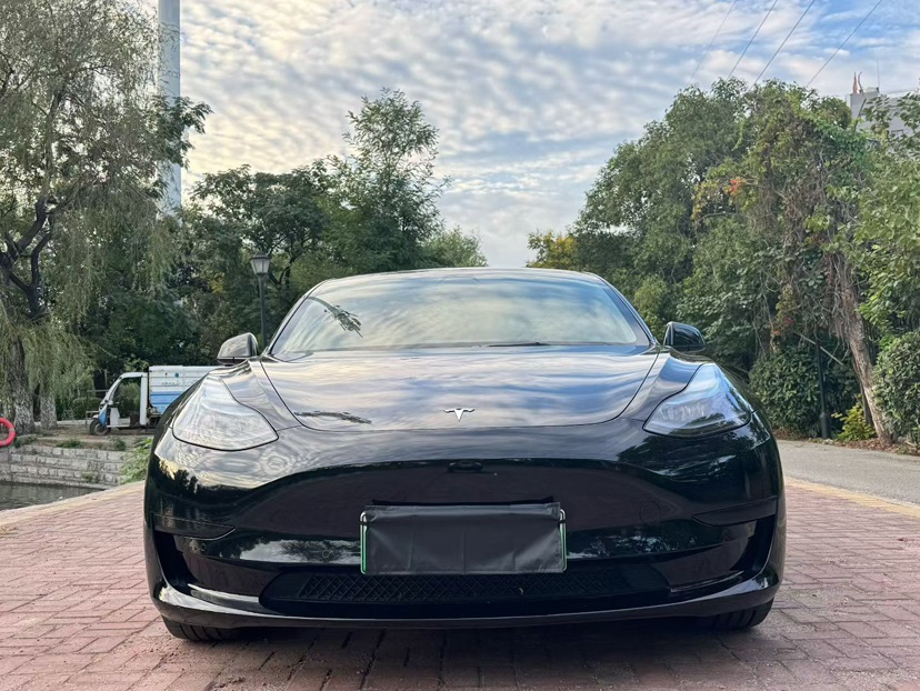 Tesla Model 3 2022 #2 Tesla Model 3 2022 car image #2