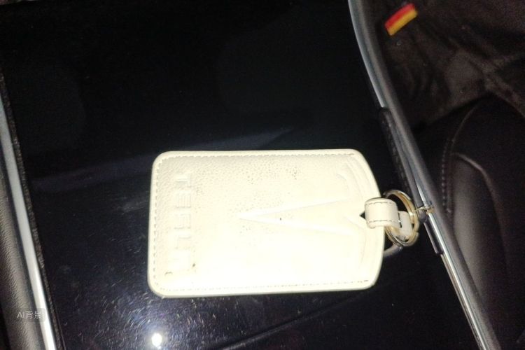 Tesla Model 3 2020 imagem de carro #10