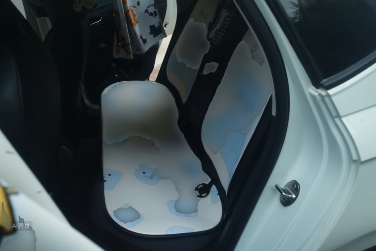 Volkswagen Polo 2021 car image #19