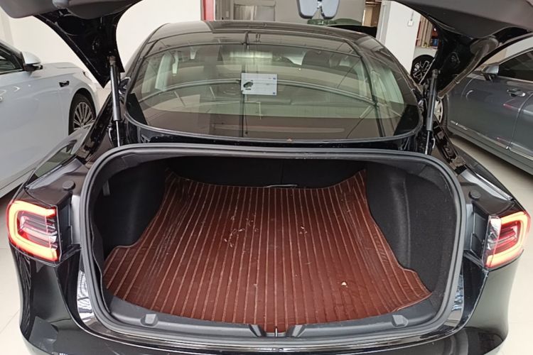 Tesla Model 3 2020 car image #19