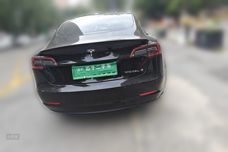 Tesla Model 3 2022 car image #6