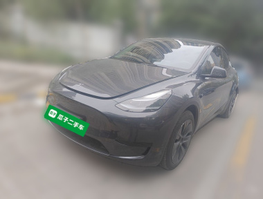 Tesla Model Y 2024 Tesla Model Y 2024 car image